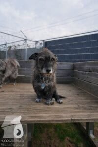 Hutamix-25-03-w24-010