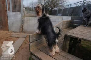 Hutamix-25-03-w24-011