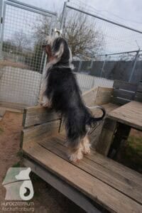 Hutamix-25-03-w24-012