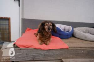 Hutamix-25-03-w24-013