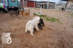 Hutamix-25-03-w24-014