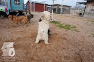 Hutamix-25-03-w24-015