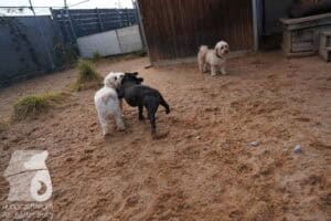 Hutamix-25-03-w24-017