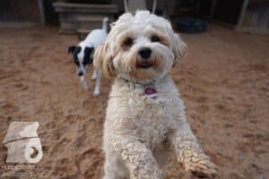 Hutamix-25-03-w24-018