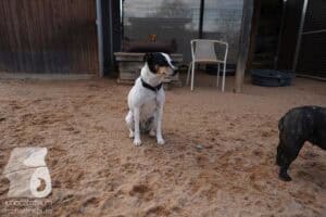 Hutamix-25-03-w24-019