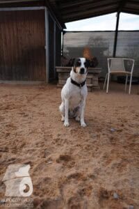 Hutamix-25-03-w24-020