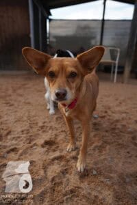 Hutamix-25-03-w24-021