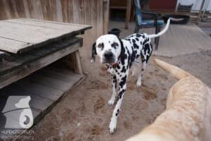 Hutamix-25-03-w24-022