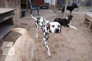 Hutamix-25-03-w24-023