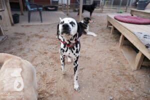 Hutamix-25-03-w24-024