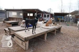 Hutamix-25-03-w24-025