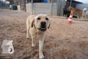 Hutamix-25-03-w24-026