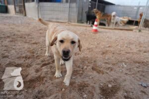 Hutamix-25-03-w24-027