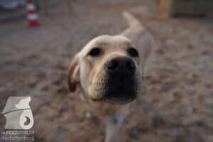 Hutamix-25-03-w24-028