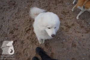 Hutamix-25-03-w24-029