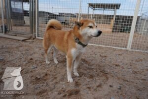 Hutamix-25-03-w24-030