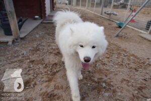 Hutamix-25-03-w24-031