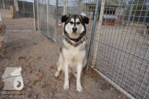 Hutamix-25-03-w24-032