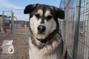 Hutamix-25-03-w24-033