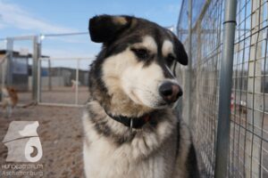 Hutamix-25-03-w24-034