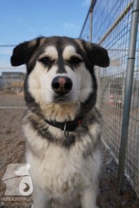 Hutamix-25-03-w24-035