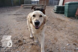 Hutamix-25-03-w24-036