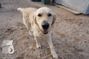 Hutamix-25-03-w24-037