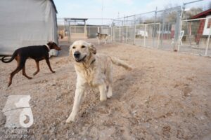 Hutamix-25-03-w24-038