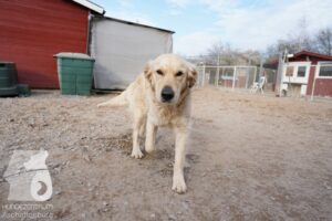 Hutamix-25-03-w24-039