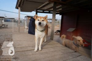 Hutamix-25-03-w24-040