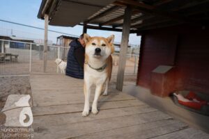 Hutamix-25-03-w24-041