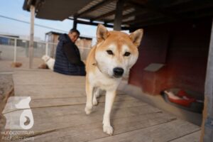 Hutamix-25-03-w24-042