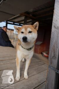 Hutamix-25-03-w24-043