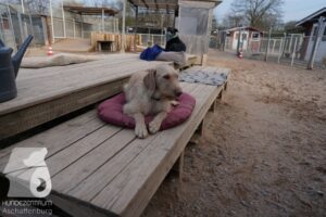 Hutamix-25-03-w24-044