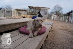 Hutamix-25-03-w24-045