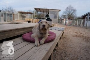 Hutamix-25-03-w24-046