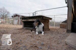 Hutamix-25-03-w24-047