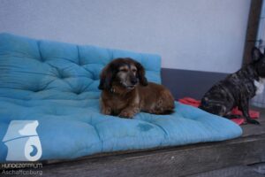 Hutamix-25-03-w24-048