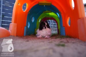 Hutamix-25-03-w24-051