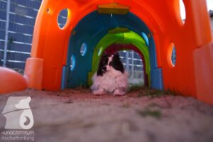 Hutamix-25-03-w24-053