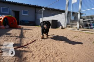 Hutamix-25-03-w24-054