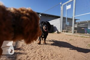 Hutamix-25-03-w24-055