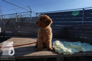 Hutamix-25-03-w24-056