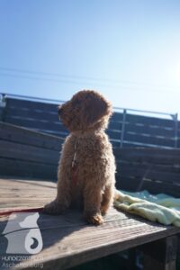 Hutamix-25-03-w24-057