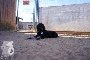 Hutamix-25-03-w24-058