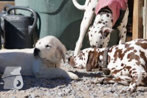 Hutamix-25-03-w24-059