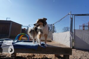 Hutamix-25-03-w24-060