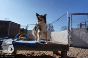 Hutamix-25-03-w24-061