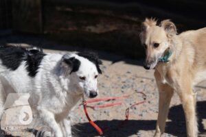 Hutamix-25-03-w24-062