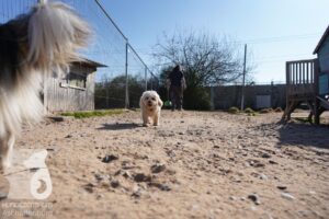 Hutamix-25-03-w24-063